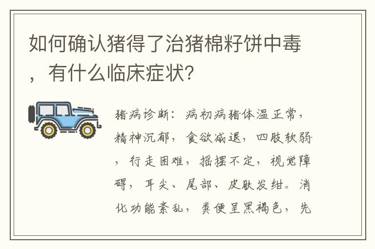 如何确认猪得了治猪棉籽饼中毒，有什么临床症状？