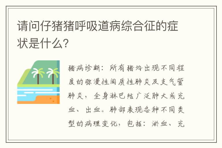 请问仔猪猪呼吸道病综合征的症状是什么？