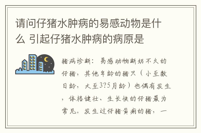 请问仔猪水肿病的易感动物是什么 引起仔猪水肿病的病原是