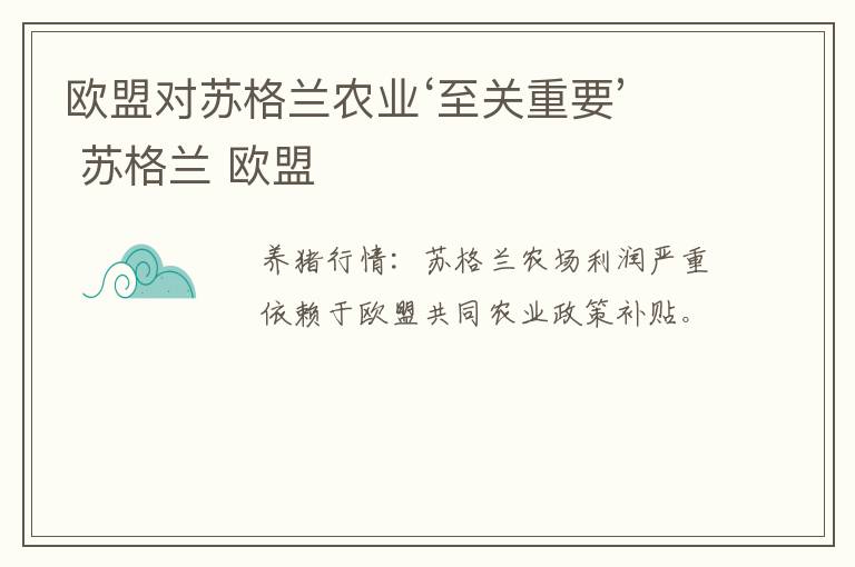 欧盟对苏格兰农业‘至关重要’ 苏格兰 欧盟