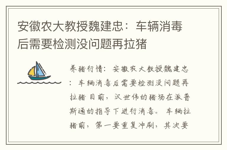 安徽农大教授魏建忠：车辆消毒后需要检测没问题再拉猪