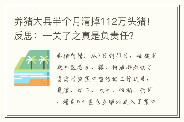 养猪大县半个月清掉112万头猪！反思：一关了之真是负责任？