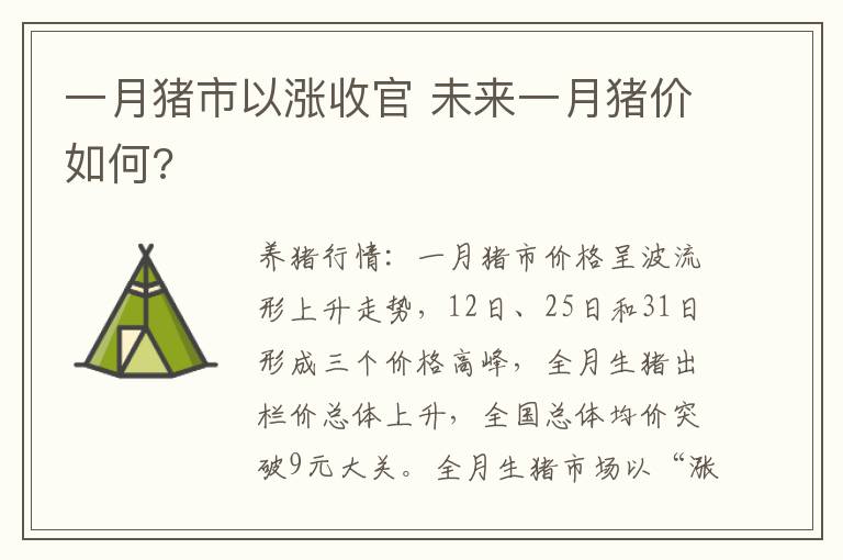 一月猪市以涨收官 未来一月猪价如何?