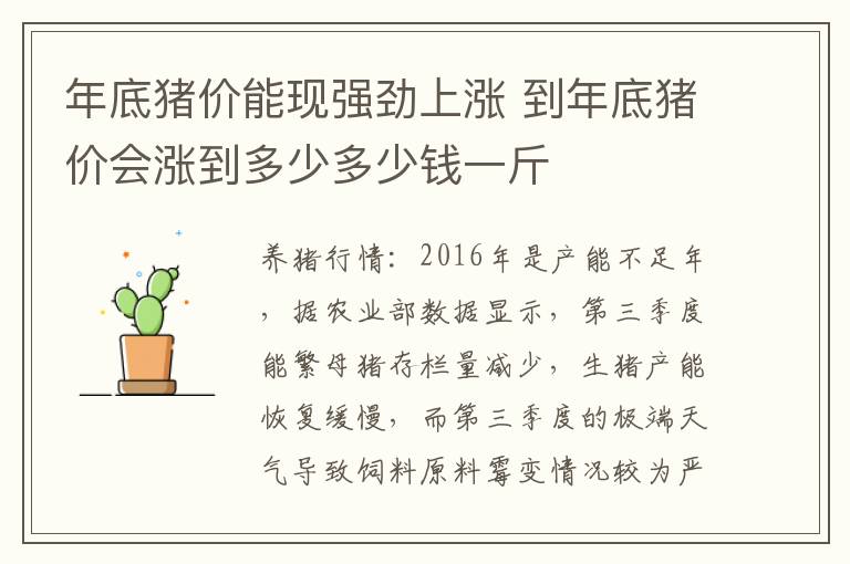 年底猪价能现强劲上涨 到年底猪价会涨到多少多少钱一斤