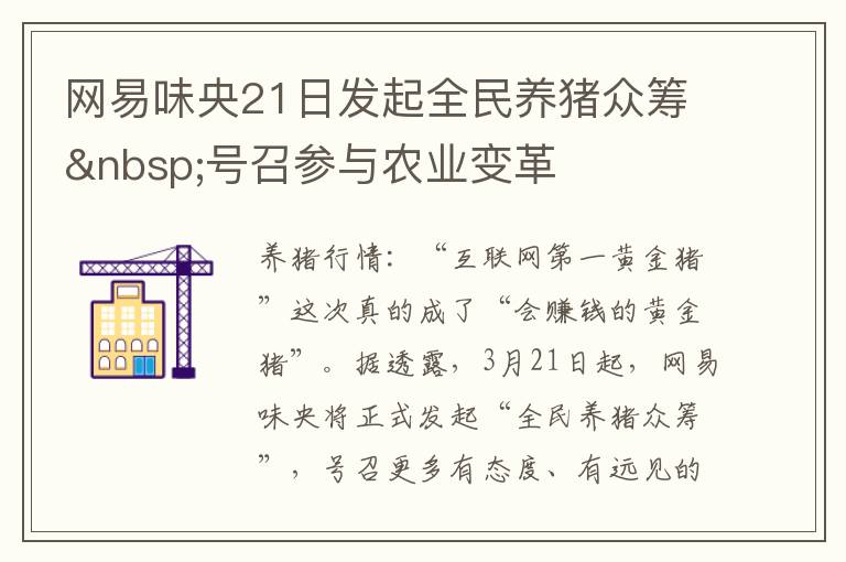 网易味央21日发起全民养猪众筹 号召参与农业变革