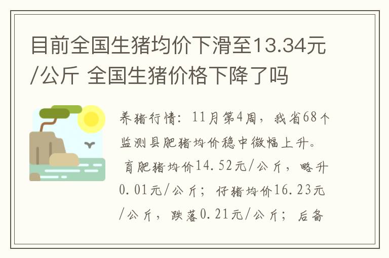 目前全国生猪均价下滑至13.34元/公斤 全国生猪价格下降了吗