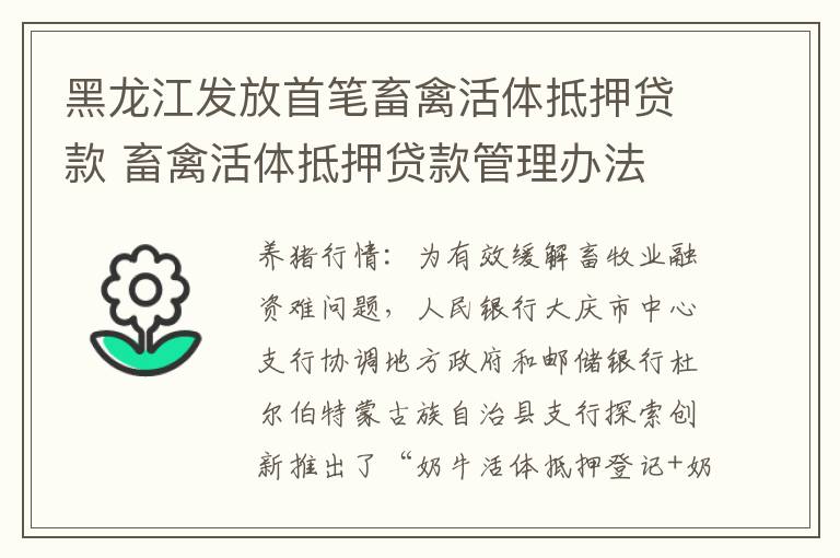 黑龙江发放首笔畜禽活体抵押贷款 畜禽活体抵押贷款管理办法