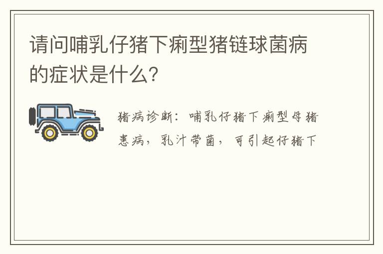 请问哺乳仔猪下痢型猪链球菌病的症状是什么？