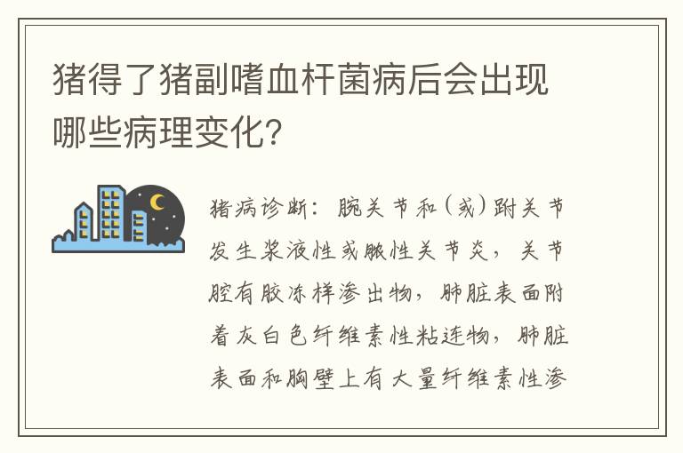 猪得了猪副嗜血杆菌病后会出现哪些病理变化？