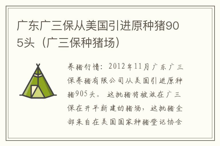 广东广三保从美国引进原种猪905头（广三保种猪场）