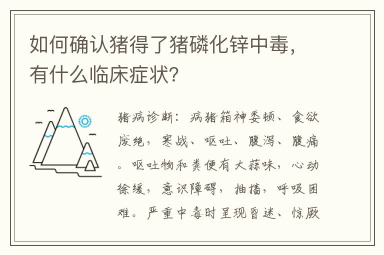 如何确认猪得了猪磷化锌中毒，有什么临床症状？