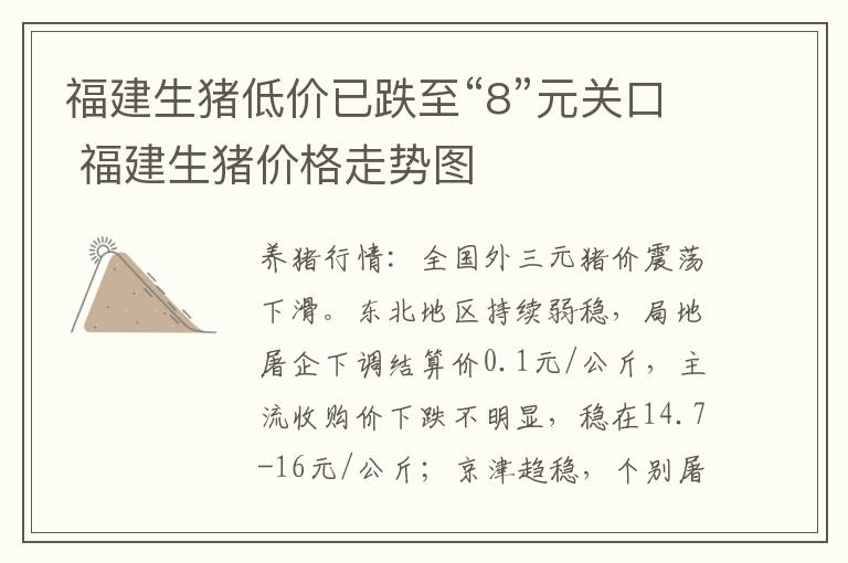 福建生猪低价已跌至“8”元关口 福建生猪价格走势图