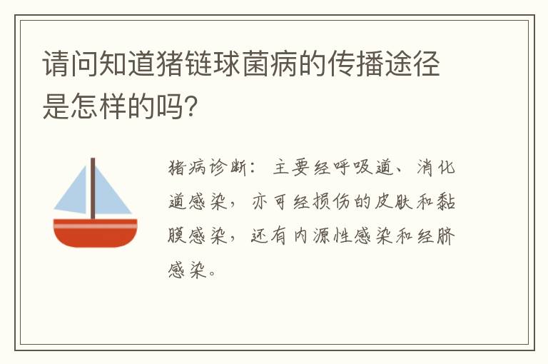 请问知道猪链球菌病的传播途径是怎样的吗？