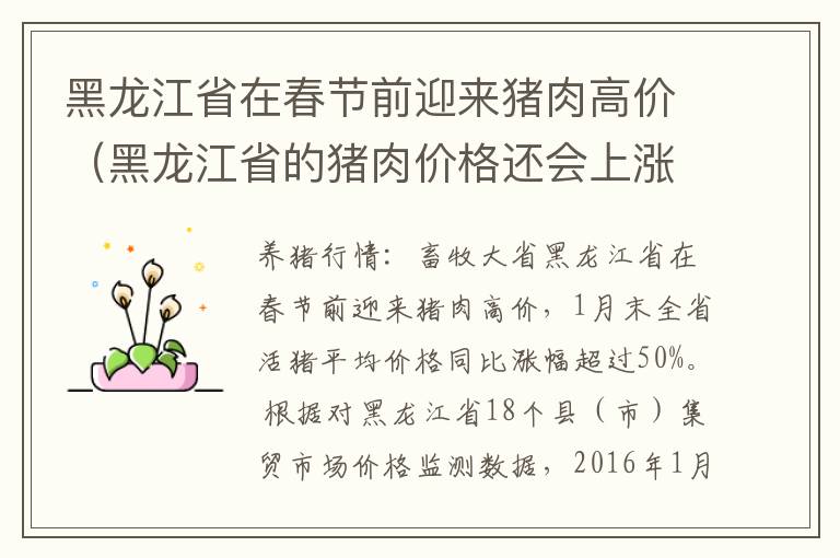 黑龙江省在春节前迎来猪肉高价（黑龙江省的猪肉价格还会上涨吗）