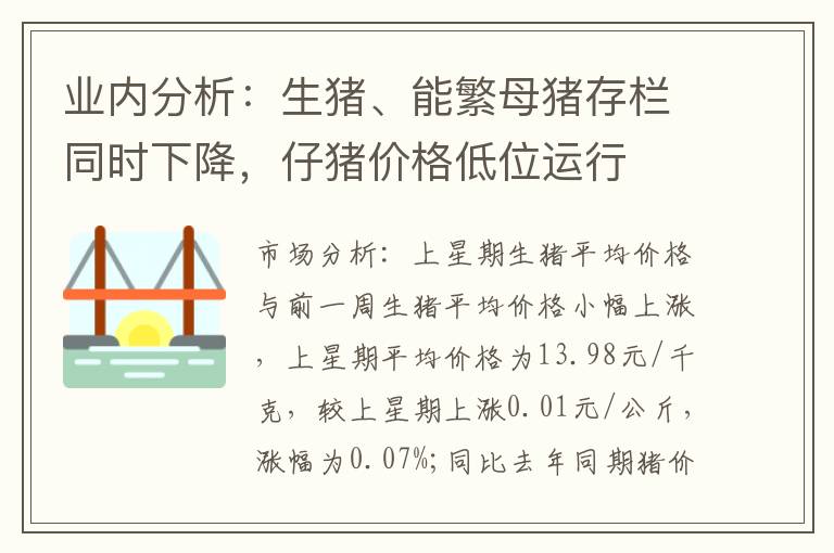 业内分析：生猪、能繁母猪存栏同时下降，仔猪价格低位运行