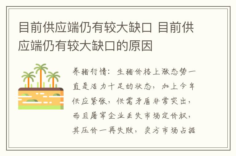 目前供应端仍有较大缺口 目前供应端仍有较大缺口的原因