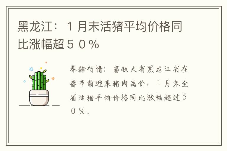 黑龙江：１月末活猪平均价格同比涨幅超５０％