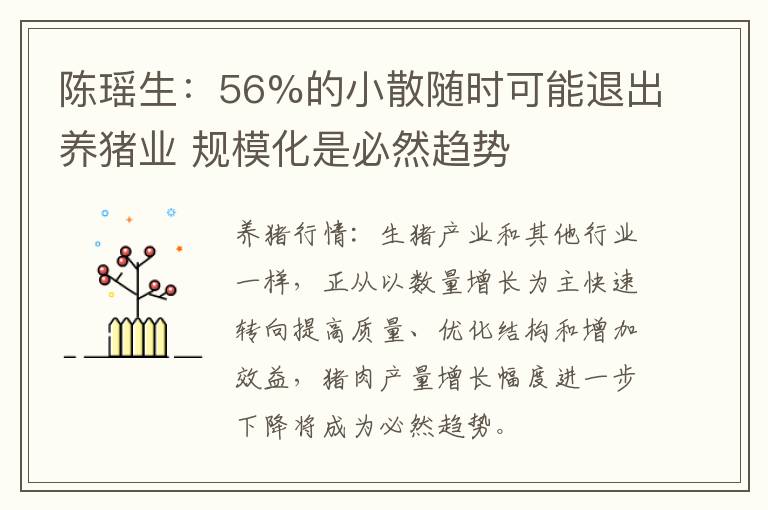 陈瑶生：56%的小散随时可能退出养猪业 规模化是必然趋势