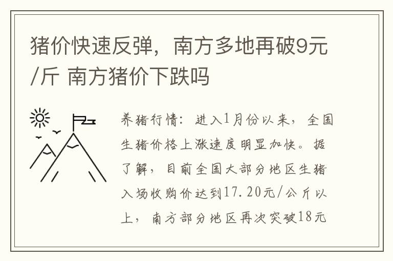 猪价快速反弹，南方多地再破9元/斤 南方猪价下跌吗