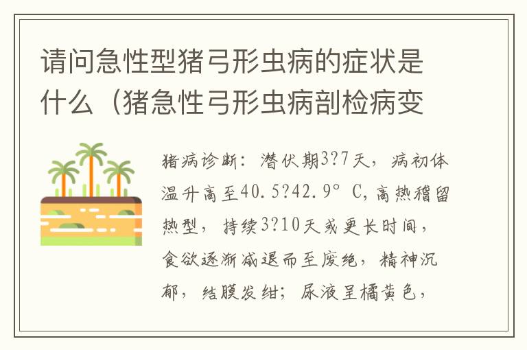 请问急性型猪弓形虫病的症状是什么（猪急性弓形虫病剖检病变主要见于）