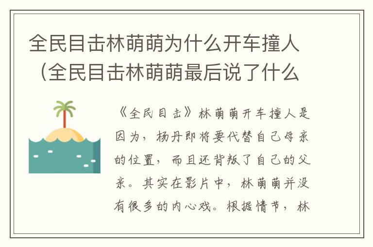 全民目击林萌萌为什么开车撞人（全民目击林萌萌最后说了什么）