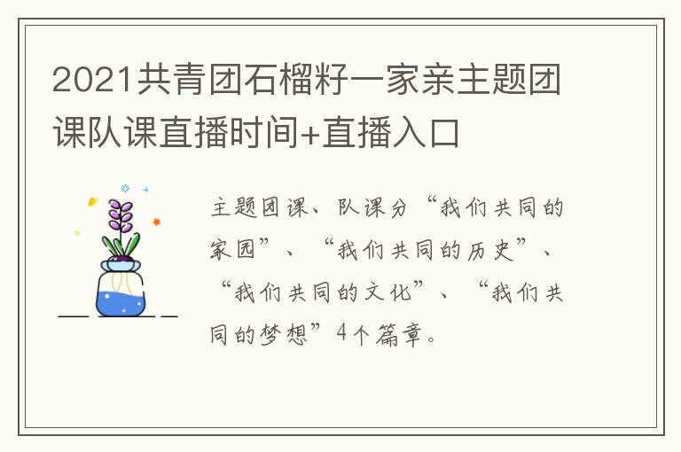 2021共青团石榴籽一家亲主题团课队课直播时间+直播入口