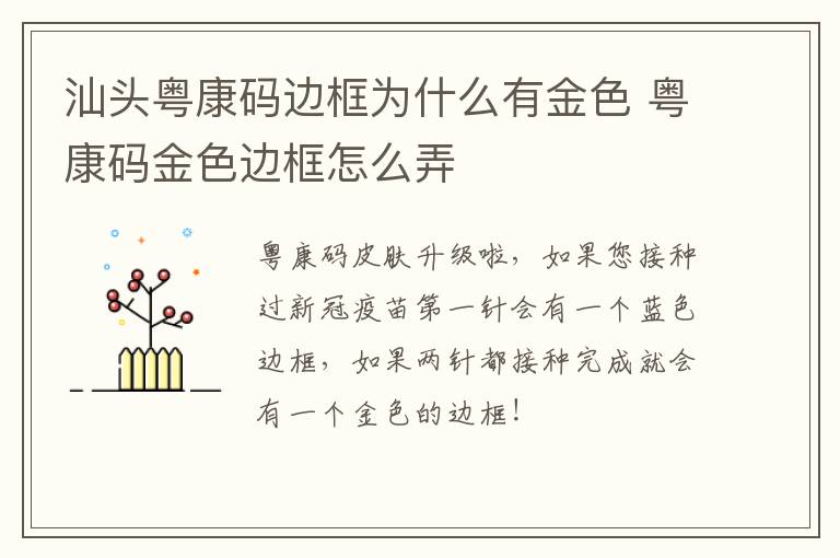 汕头粤康码边框为什么有金色 粤康码金色边框怎么弄