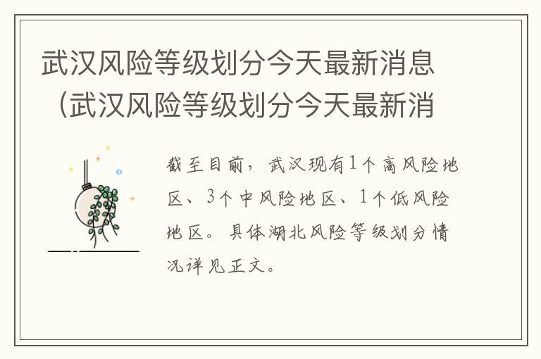 武汉风险等级划分今天最新消息（武汉风险等级划分今天最新消息查询）