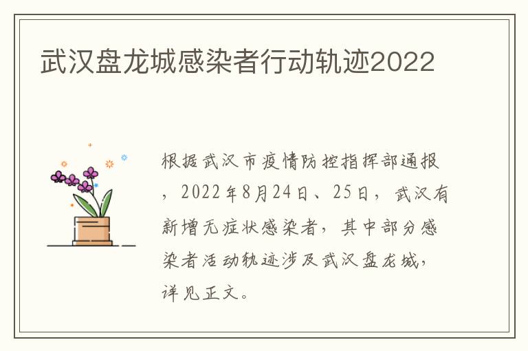 武汉盘龙城感染者行动轨迹2022