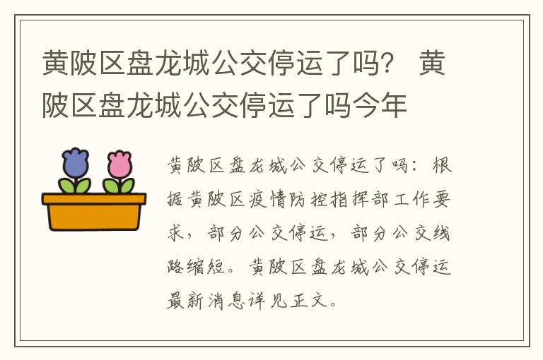 黄陂区盘龙城公交停运了吗？ 黄陂区盘龙城公交停运了吗今年