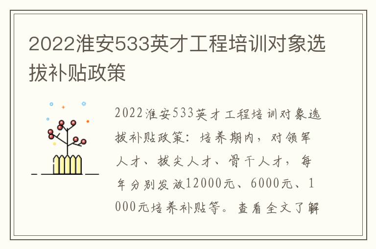 2022淮安533英才工程培训对象选拔补贴政策