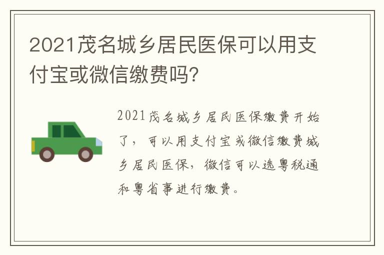 2021茂名城乡居民医保可以用支付宝或微信缴费吗？