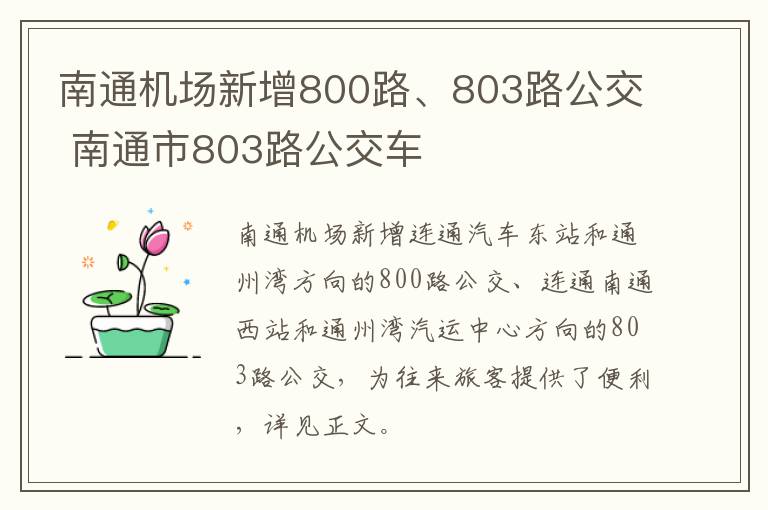 南通机场新增800路、803路公交 南通市803路公交车