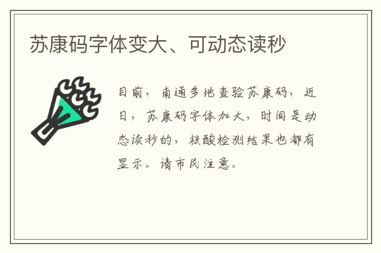 苏康码字体变大、可动态读秒