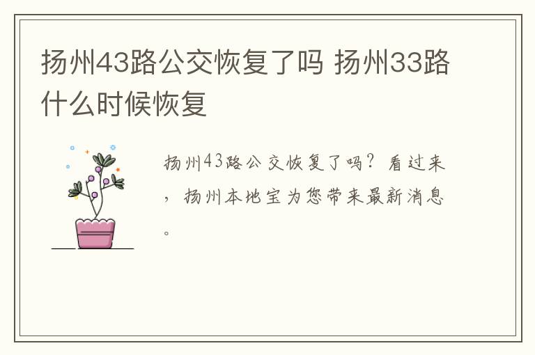 扬州43路公交恢复了吗 扬州33路什么时候恢复