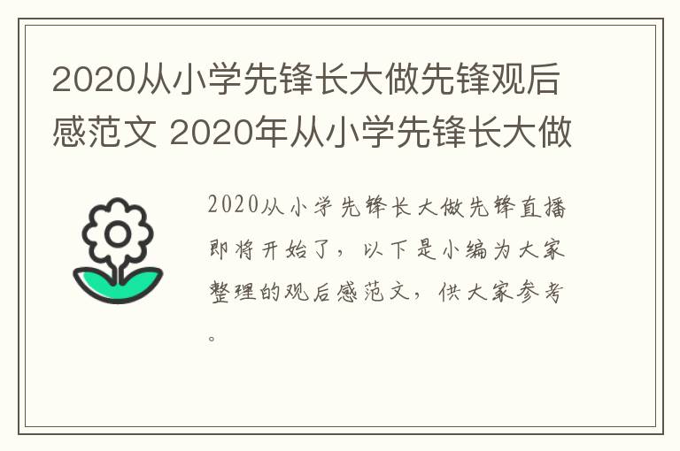 2020从小学先锋长大做先锋观后感范文 2020年从小学先锋长大做先锋观后感