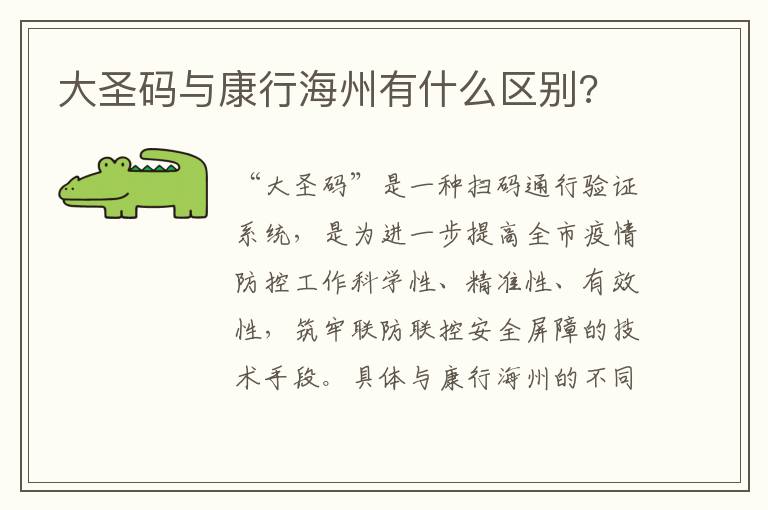 大圣码与康行海州有什么区别?