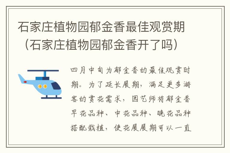 石家庄植物园郁金香最佳观赏期（石家庄植物园郁金香开了吗）