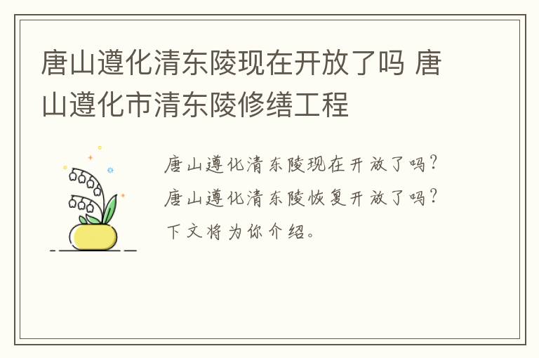 唐山遵化清东陵现在开放了吗 唐山遵化市清东陵修缮工程