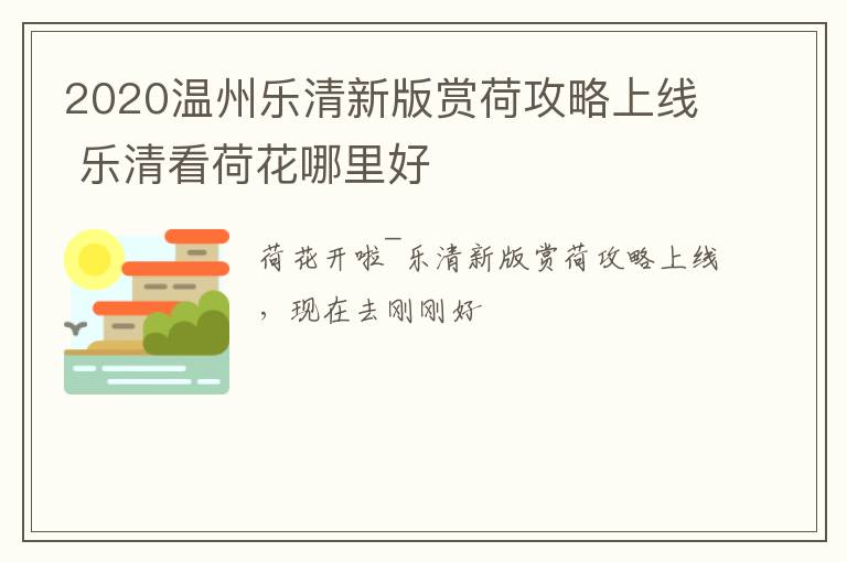 2020温州乐清新版赏荷攻略上线 乐清看荷花哪里好