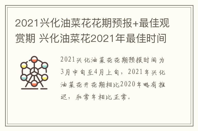 2021兴化油菜花花期预报+最佳观赏期 兴化油菜花2021年最佳时间