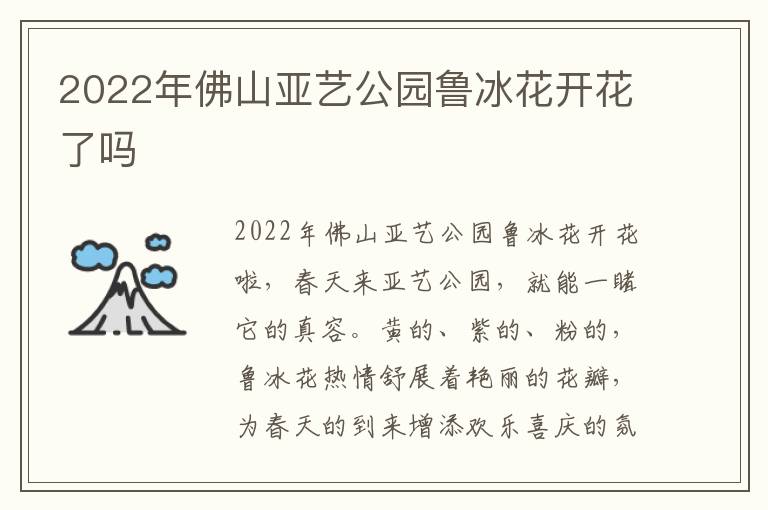 2022年佛山亚艺公园鲁冰花开花了吗