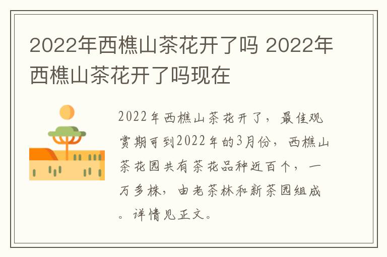 2022年西樵山茶花开了吗 2022年西樵山茶花开了吗现在