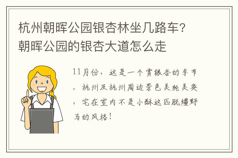 杭州朝晖公园银杏林坐几路车? 朝晖公园的银杏大道怎么走