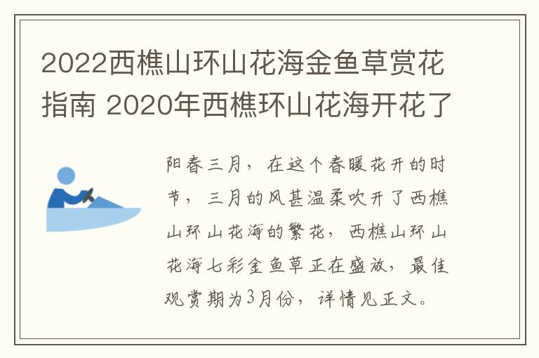 2022西樵山环山花海金鱼草赏花指南 2020年西樵环山花海开花了吗