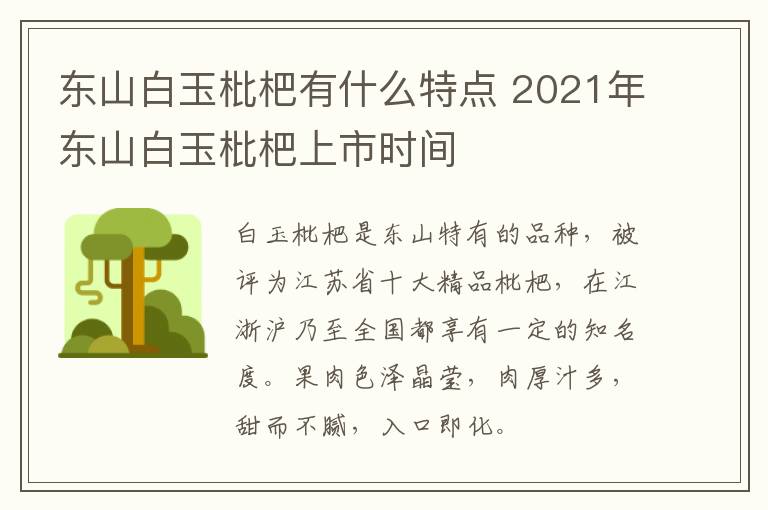 东山白玉枇杷有什么特点 2021年东山白玉枇杷上市时间