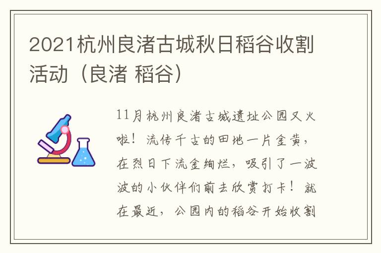 2021杭州良渚古城秋日稻谷收割活动（良渚 稻谷）