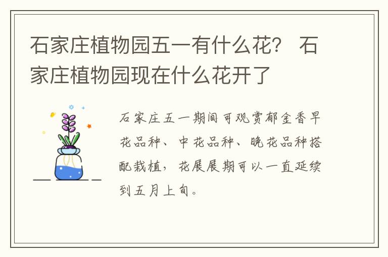 石家庄植物园五一有什么花？ 石家庄植物园现在什么花开了