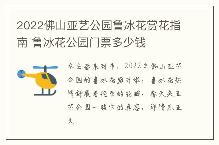 2022佛山亚艺公园鲁冰花赏花指南 鲁冰花公园门票多少钱