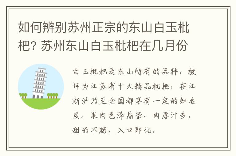 如何辨别苏州正宗的东山白玉枇杷? 苏州东山白玉枇杷在几月份上市